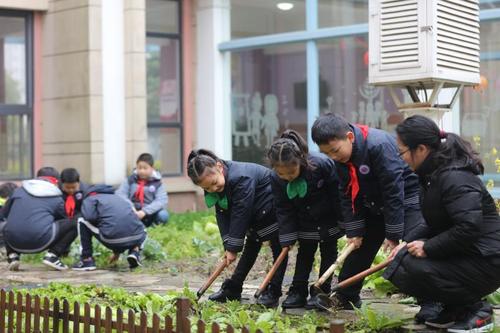 重磅！中共中央、国务院发文，全面部署新时代大中小学劳动教育